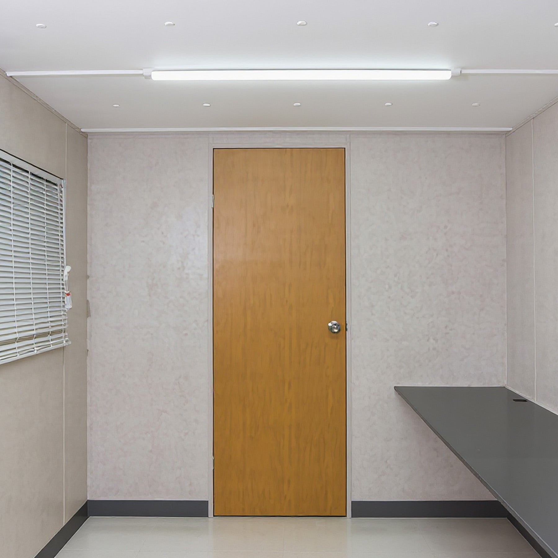 Oficina Móvil 8'x24'